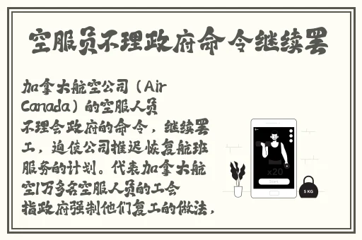 Zoom与人马性Zoom比较